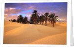 Sahara Desert in Tunisia by Anonymous