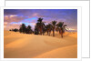 Sahara Desert in Tunisia by Anonymous