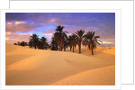 Sahara Desert in Tunisia by Anonymous