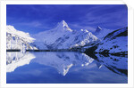 Bachalpsee Lake and Wetterhorn by Anonymous