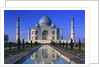Taj Mahal by Anonymous