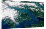 Glaciers Melting into Glacier Bay by Anonymous