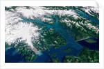 Glaciers Melting into Glacier Bay by Anonymous