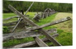 Pioneer Homestead Exhibit at Great Smoky Mountains National Park by Anonymous