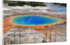 Grand Prismatic Spring by Anonymous