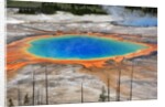 Grand Prismatic Spring by Anonymous