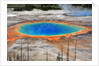 Grand Prismatic Spring by Anonymous