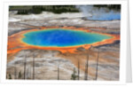 Grand Prismatic Spring by Anonymous