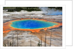 Grand Prismatic Spring by Anonymous