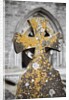 Stone Cross at St. Canice's Cathedral by Anonymous