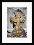 Stone Cross at St. Canice's Cathedral by Anonymous
