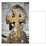 Stone Cross at St. Canice's Cathedral by Anonymous