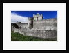 Cahir Castle by Anonymous