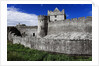 Cahir Castle by Anonymous