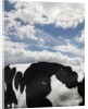 Cow and Sky Patterns by Anonymous
