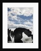 Cow and Sky Patterns by Anonymous