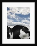 Cow and Sky Patterns by Anonymous