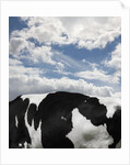 Cow and Sky Patterns by Anonymous