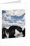 Cow and Sky Patterns by Anonymous