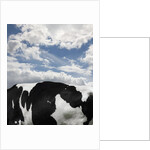 Cow and Sky Patterns by Anonymous