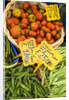 String Beans and Tomatoes in Campo dei Fiori by Anonymous