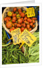 String Beans and Tomatoes in Campo dei Fiori by Anonymous