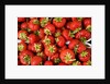 Strawberries by Anonymous