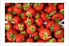 Strawberries by Anonymous