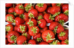 Strawberries by Anonymous