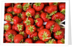 Strawberries by Anonymous