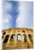 The Colosseum by Anonymous