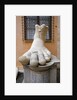 Capitoline Museums by Anonymous
