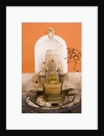 Fountain by Anonymous