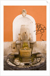 Fountain by Anonymous