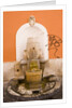 Fountain by Anonymous