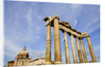 Roman Forum by Anonymous