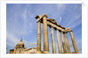 Roman Forum by Anonymous