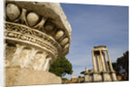 Roman Forum by Anonymous