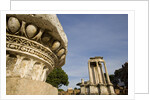 Roman Forum by Anonymous