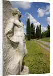 Via Appia by Anonymous
