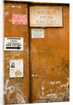 Rome by Anonymous