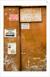 Rome by Anonymous