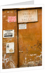 Rome by Anonymous