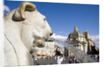 Piazza del Popolo by Anonymous