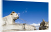 Piazza del Popolo by Anonymous