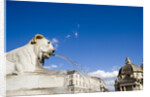 Piazza del Popolo by Anonymous