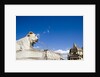 Piazza del Popolo by Anonymous