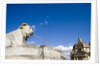 Piazza del Popolo by Anonymous