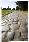 Via Appia by Anonymous