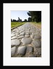 Via Appia by Anonymous